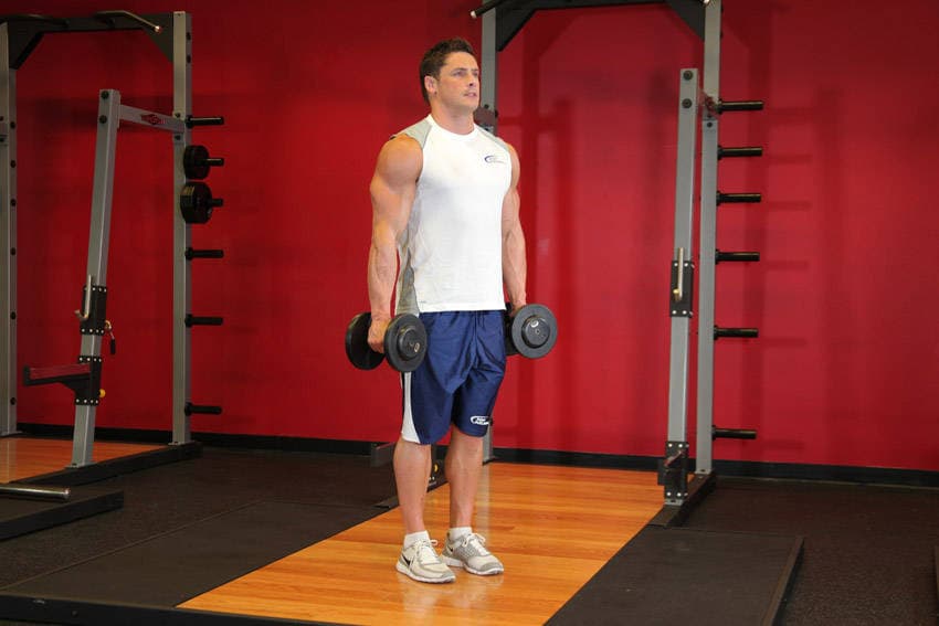 Hammer Curls — البداية