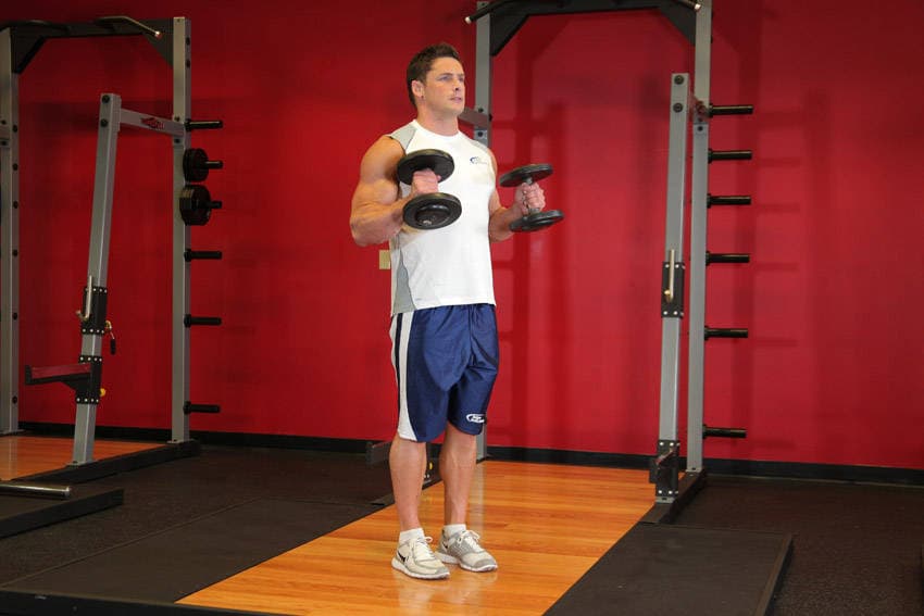 Hammer Curls — النهاية