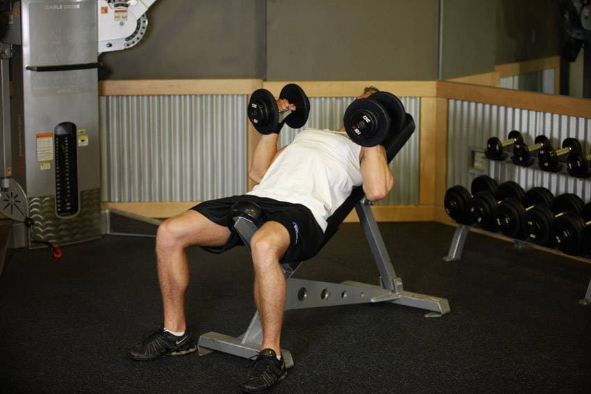Incline Dumbbell Bench With Palms Facing In — النهاية