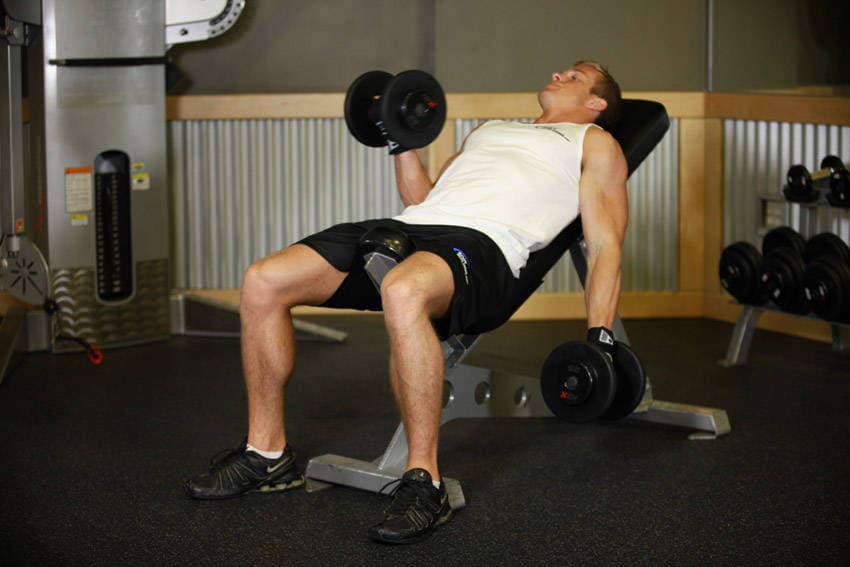 Incline Dumbbell Curl — البداية