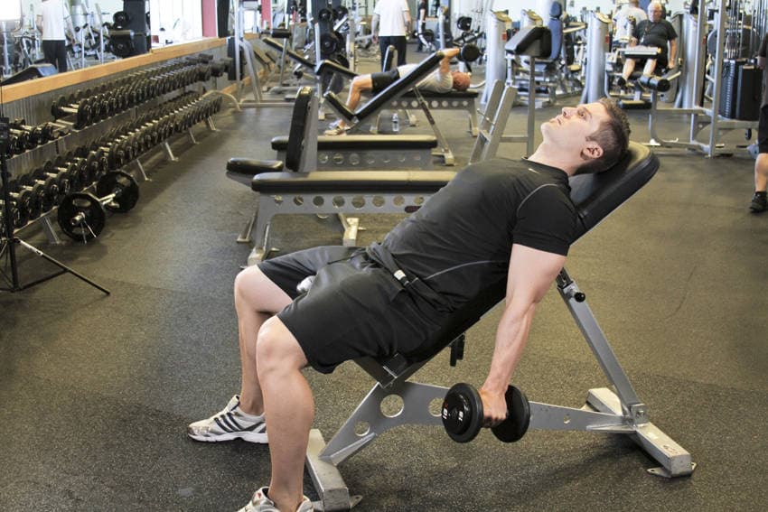 Incline Hammer Curls — البداية