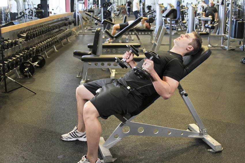 Incline Hammer Curls — النهاية