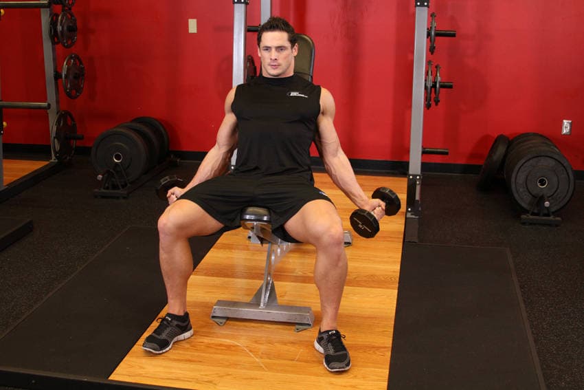 Incline Inner Biceps Curl — البداية