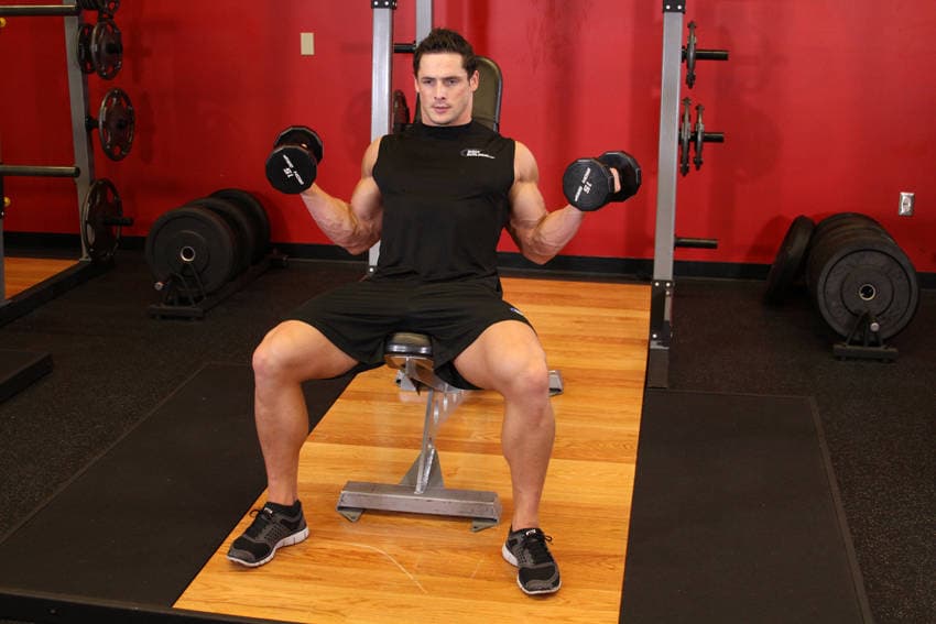 Incline Inner Biceps Curl — النهاية