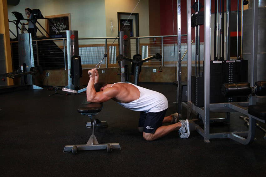Kneeling Cable Triceps Extension — البداية