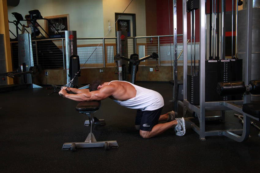 Kneeling Cable Triceps Extension — النهاية