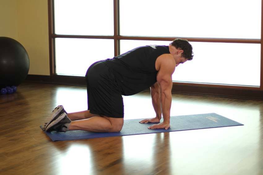 Kneeling Forearm Stretch — البداية