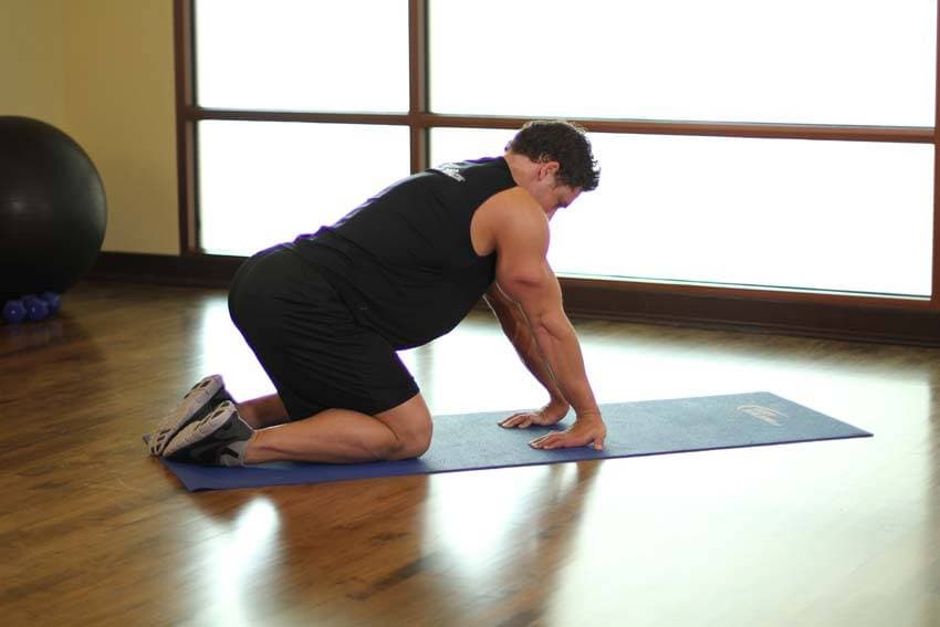 Kneeling Forearm Stretch — النهاية