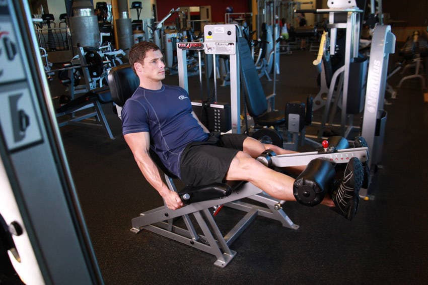 Leg Extensions — النهاية