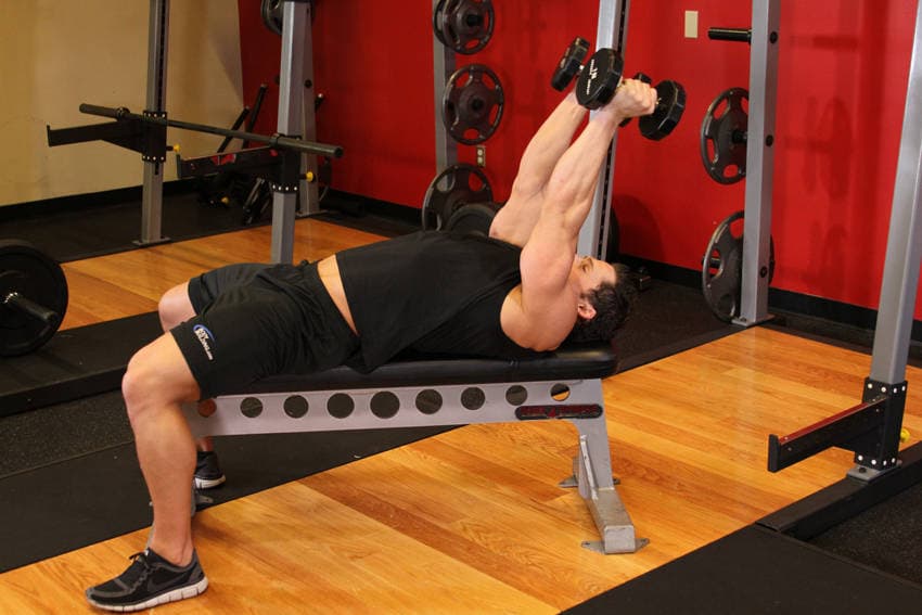 Lying Dumbbell Tricep Extension — النهاية