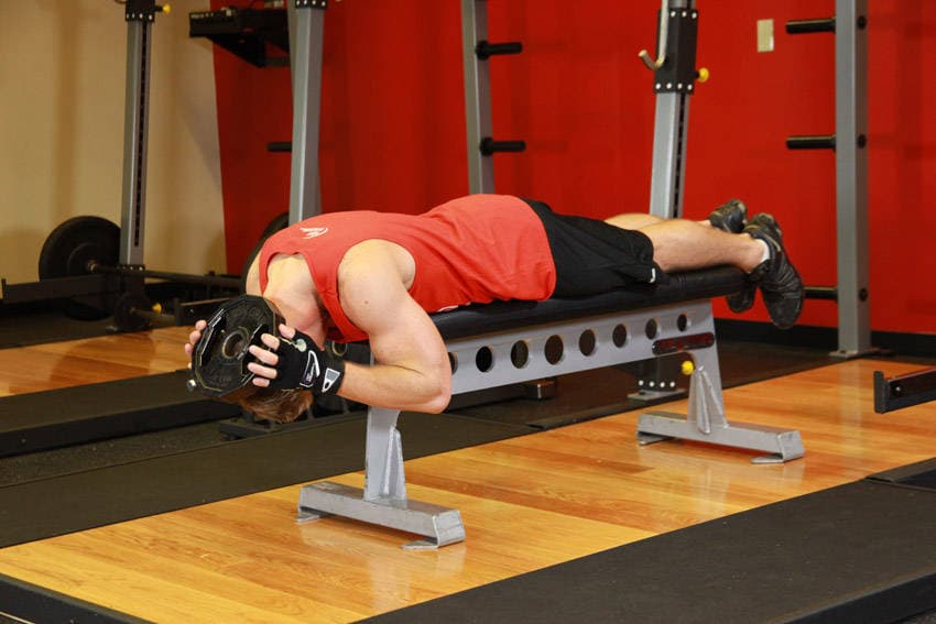 Lying Face Down Plate Neck Resistance — البداية