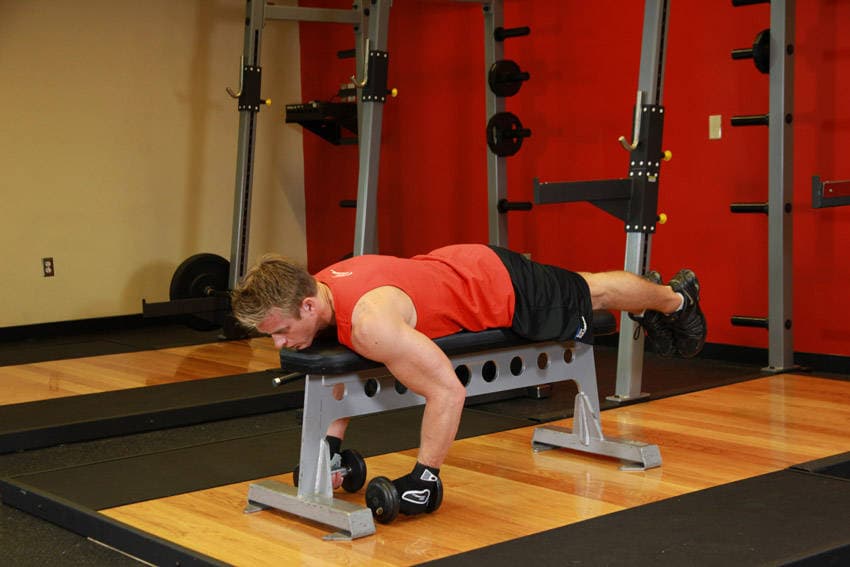 Lying Rear Delt Raise — النهاية