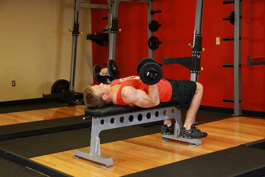 Lying Supine Dumbbell Curl — البداية
