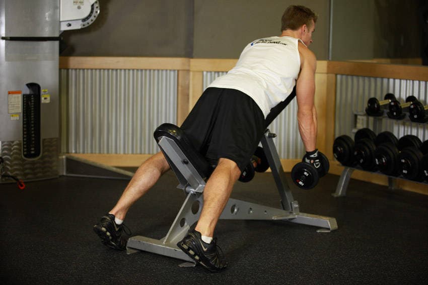 Middle Back Shrug — البداية