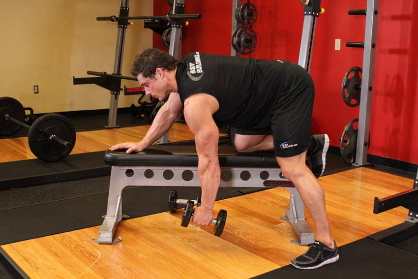 One-Arm Dumbbell Row — البداية