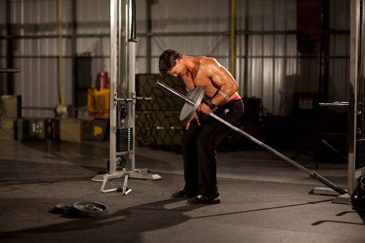 One-Arm Long Bar Row — النهاية