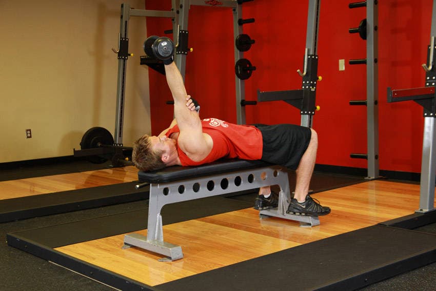 One Arm Supinated Dumbbell Triceps Extension — النهاية