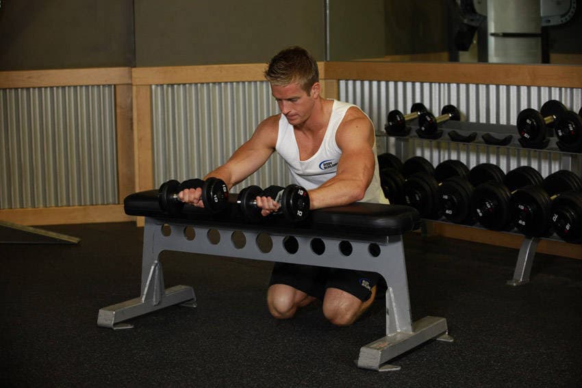 Palms-Down Dumbbell Wrist Curl Over A Bench — النهاية