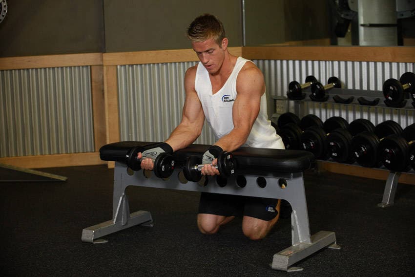 Palms-Up Dumbbell Wrist Curl Over A Bench — البداية