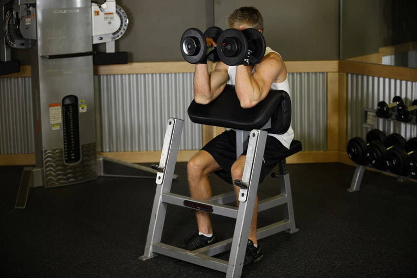 Preacher Hammer Dumbbell Curl — النهاية