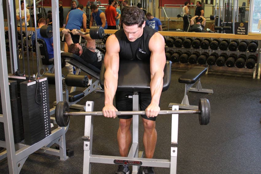 Reverse Barbell Preacher Curls — البداية