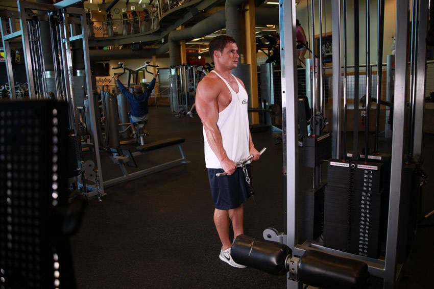 Reverse Cable Curl — النهاية