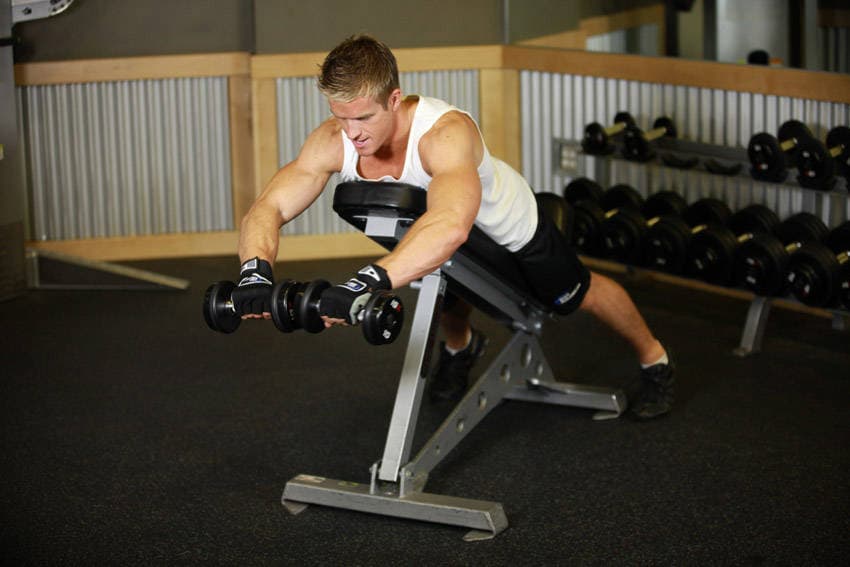 Reverse Flyes With External Rotation — البداية