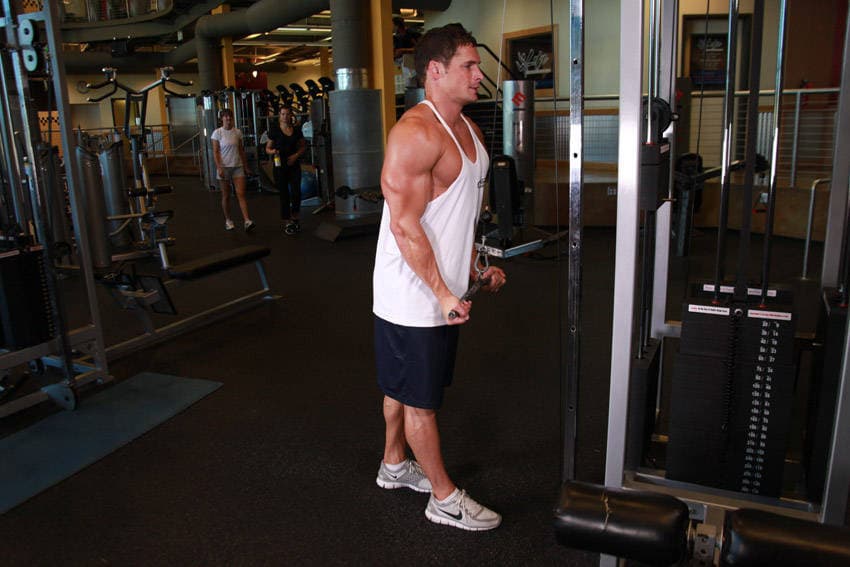 Reverse Grip Triceps Pushdown — النهاية