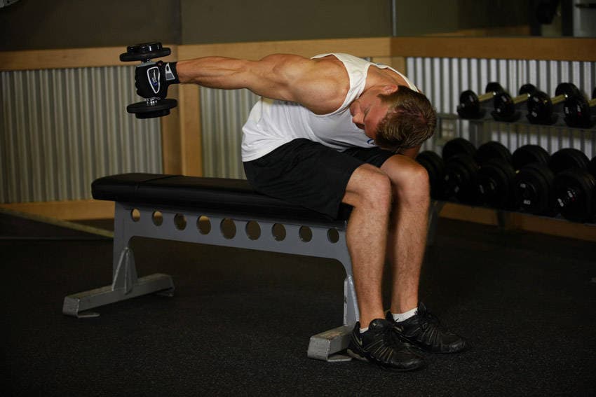 Seated Bent-Over One-Arm Dumbbell Triceps Extension — النهاية