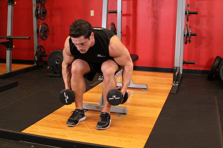 Seated Bent-Over Rear Delt Raise — البداية