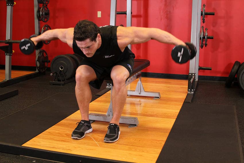 Seated Bent-Over Rear Delt Raise — النهاية