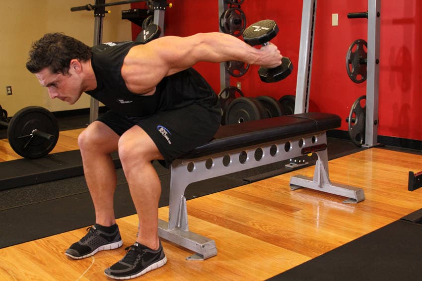 Seated Bent-Over Two-Arm Dumbbell Triceps Extension — النهاية