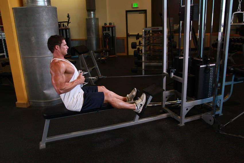 Seated Cable Rows — النهاية