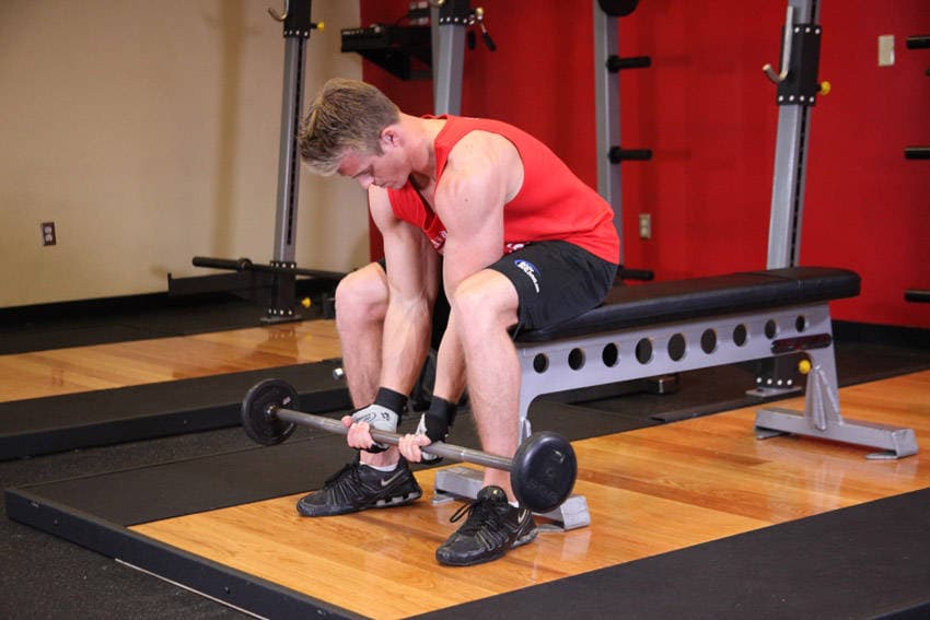 Seated Close-Grip Concentration Barbell Curl — البداية