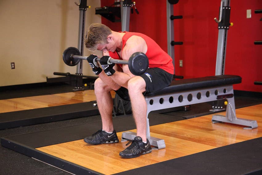 Seated Close-Grip Concentration Barbell Curl — النهاية