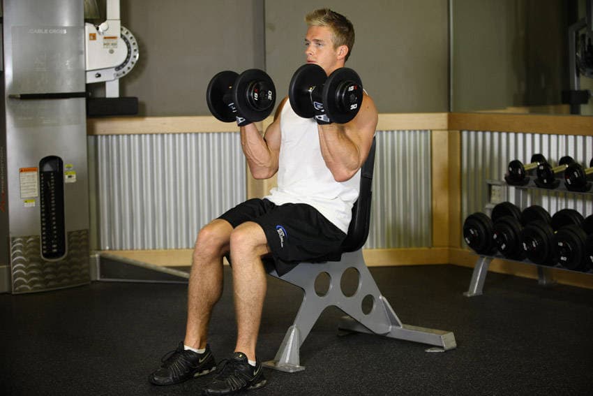 Seated Dumbbell Curl — النهاية