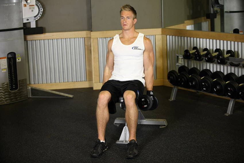 Seated Dumbbell Inner Biceps Curl — البداية