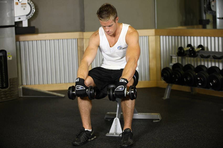 Seated Dumbbell Palms-Down Wrist Curl — البداية