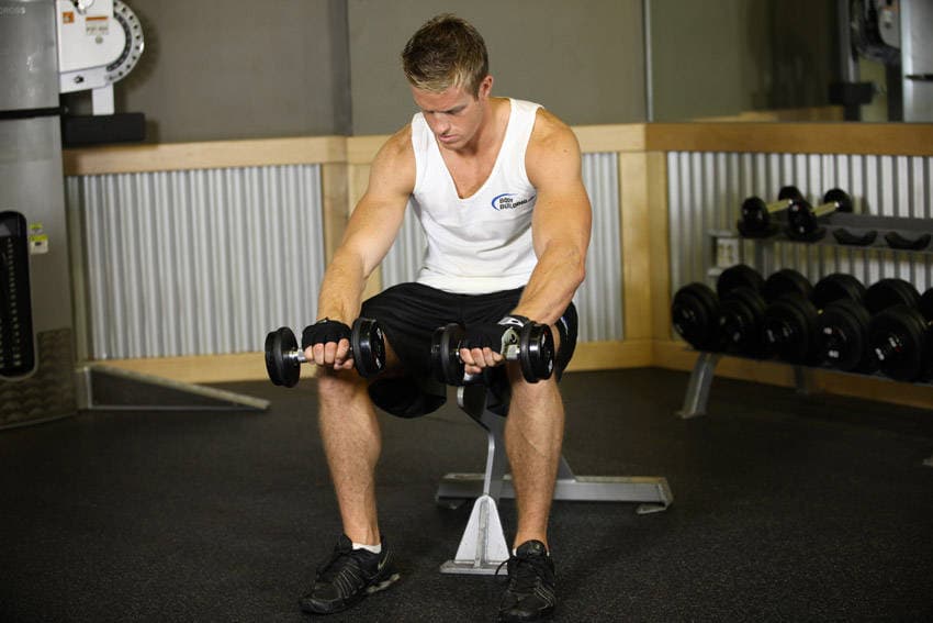 Seated Dumbbell Palms-Down Wrist Curl — النهاية