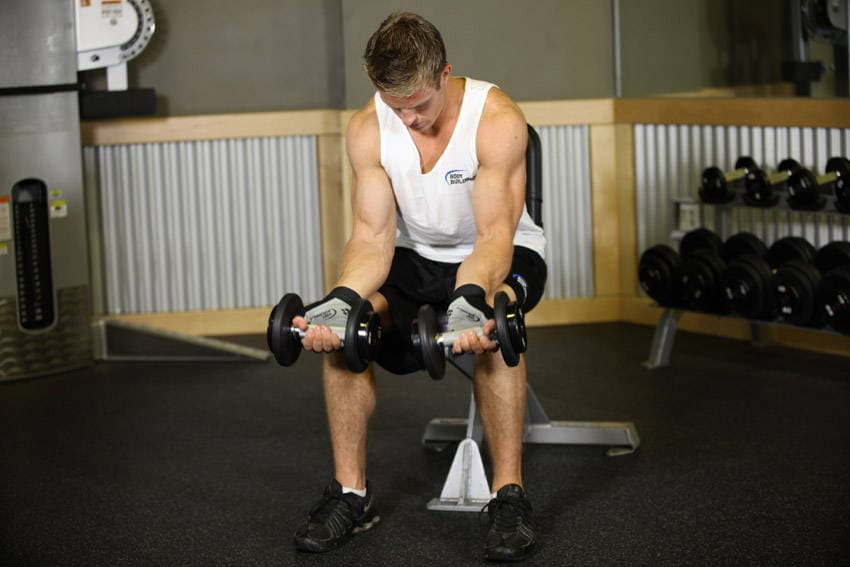 Seated Dumbbell Palms-Up Wrist Curl — البداية