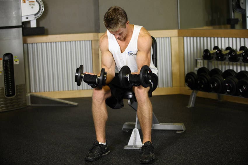 Seated Dumbbell Palms-Up Wrist Curl — النهاية