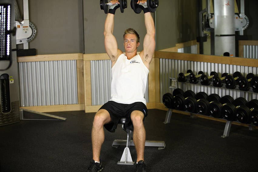 Seated Dumbbell Press — البداية