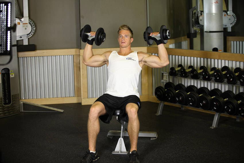 Seated Dumbbell Press — النهاية