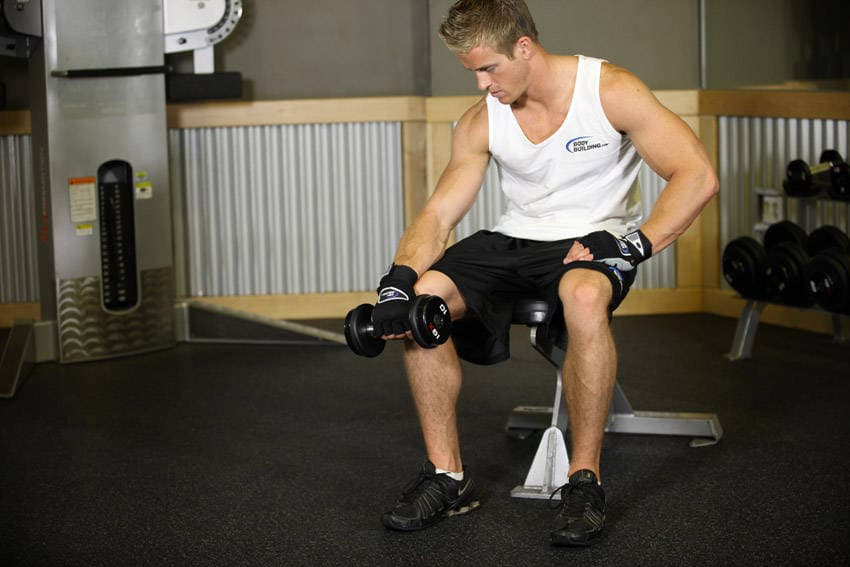 Seated One-Arm Dumbbell Palms-Down Wrist Curl — البداية