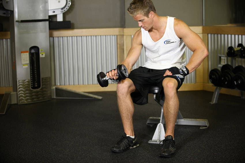 Seated One-Arm Dumbbell Palms-Down Wrist Curl — النهاية