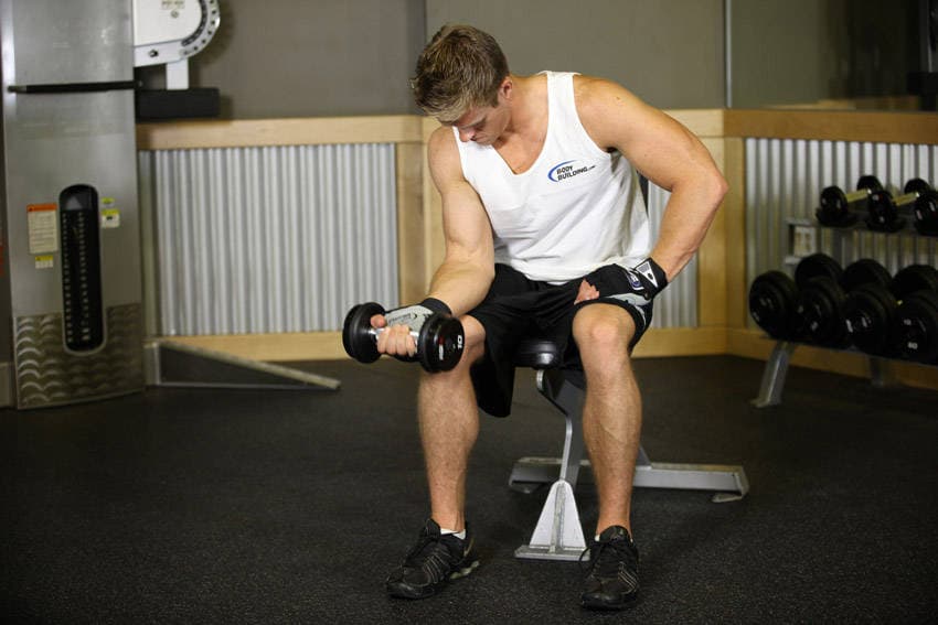 Seated One-Arm Dumbbell Palms-Up Wrist Curl — البداية