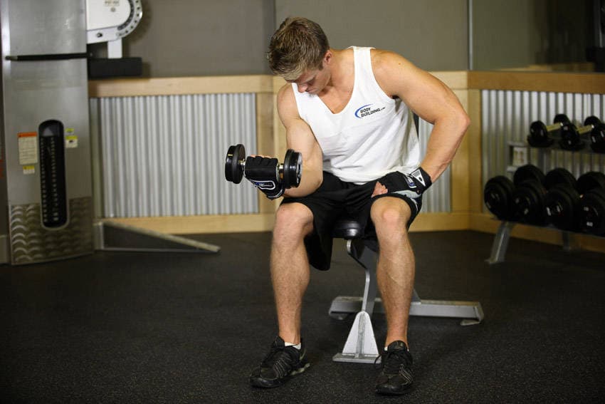 Seated One-Arm Dumbbell Palms-Up Wrist Curl — النهاية