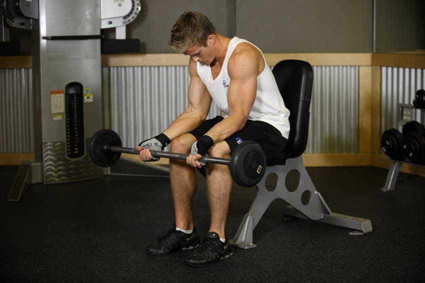 Seated Palm-Up Barbell Wrist Curl — البداية
