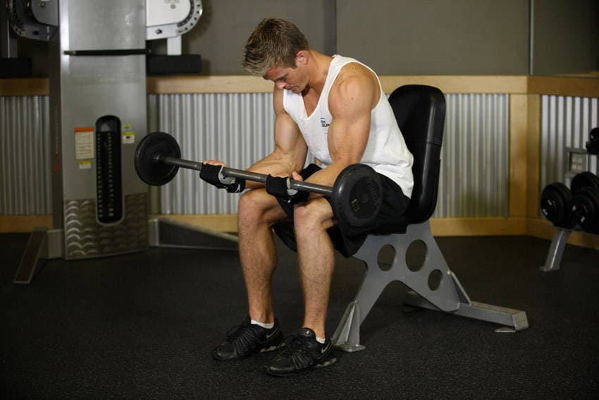 Seated Palm-Up Barbell Wrist Curl — النهاية