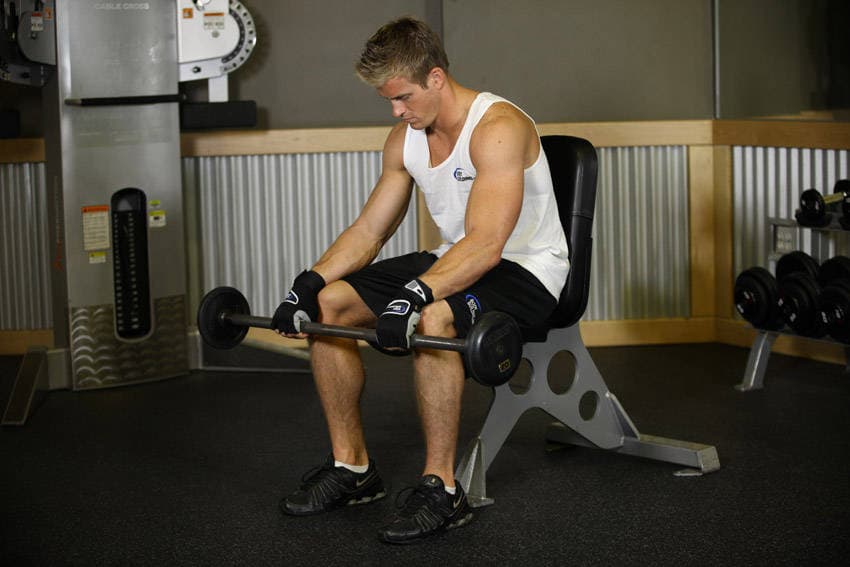 Seated Palms-Down Barbell Wrist Curl — البداية